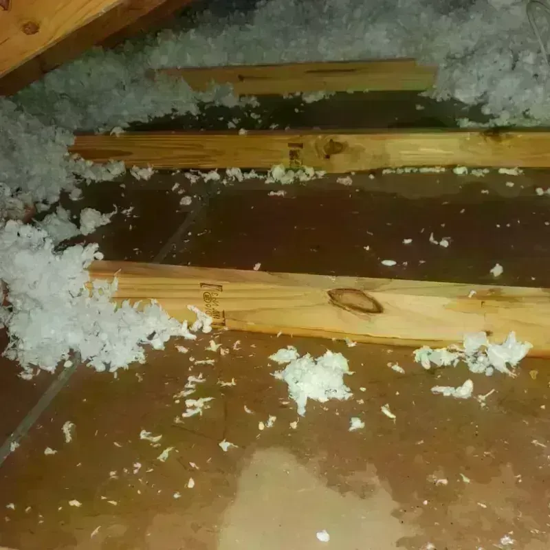 Attic Water Damage in Kingsley, MI