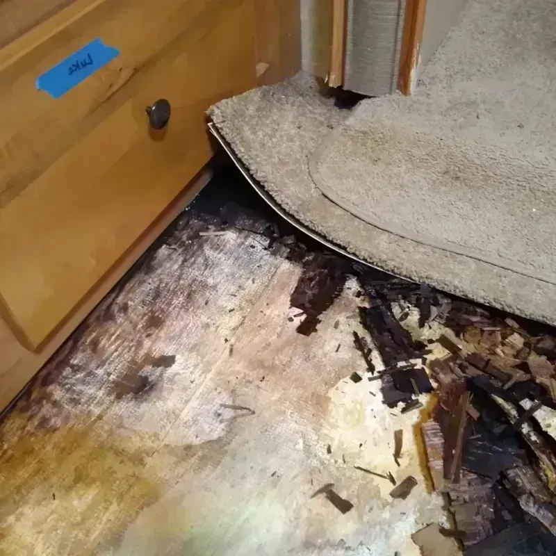 Wood Floor Water Damage in Kingsley, MI